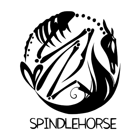 Tom Murray - Head of Production | Spindlehorse